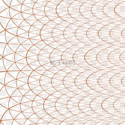 网格线网纹