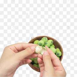 手剥莲子