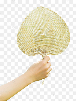 大暑节气手拿蒲扇
