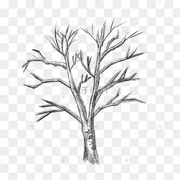 树干素描白描画图片