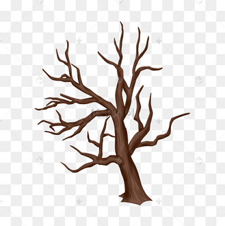 枯枝树木