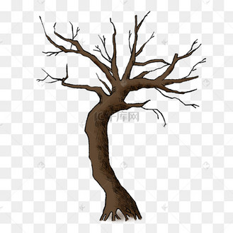 素描树干树枝线描