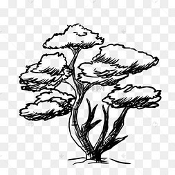 大树线描爬行松鼠素描树干树枝线描黄绿色秋树树木线描手绘爬行线描