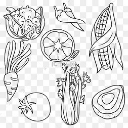 秋季线描果蔬食物