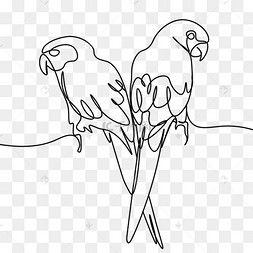 两只鹦鹉简笔画图片
