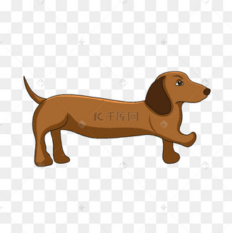 棕黄色短腿腊肠犬剪贴画