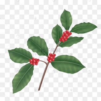 复古咖啡树叶剪贴画