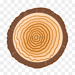 厚厚的树皮卡通树木年轮