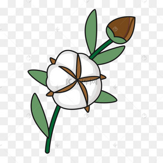 一枝美好的棉花剪贴画