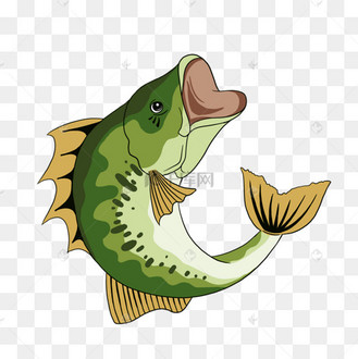 跳跃鲈鱼剪贴画