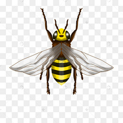 蜂可爱卡通蜂蜜罐世界蜜蜂日漂亮的蜂蜜罐手绘插画蜂蜜, 蜂, honey