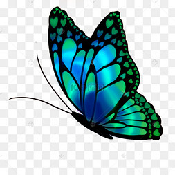 七彩蝴蝶