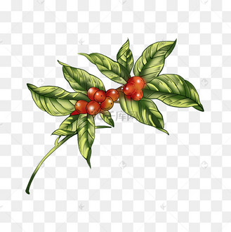 卡咖啡_素材_图片-千库网