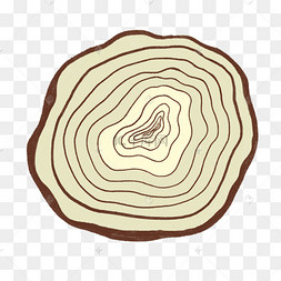 可爱树木年轮手绘横切面
