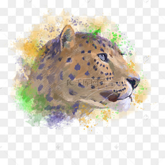水彩晕染动物斑点头像
