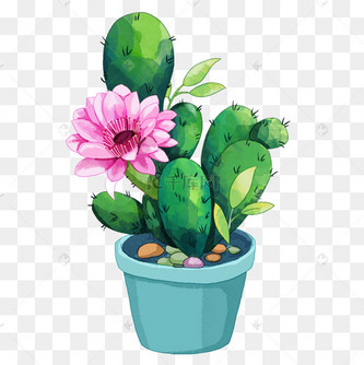 盆栽水彩仙人掌开花植物