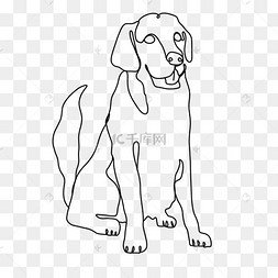 金毛抽象线条画狗