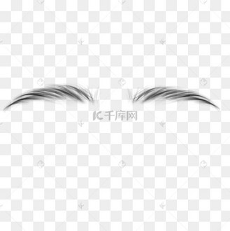 眉毛真人图片_眉毛真人设计图片素材大全-千库网