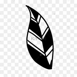 一片黑色树叶黑白涂鸦