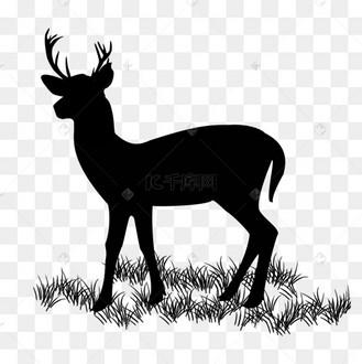 鹿剪影小梅花鹿