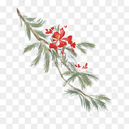 水彩复古凤凰花树