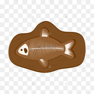 卡通化石素材海洋鱼类化石剪贴画