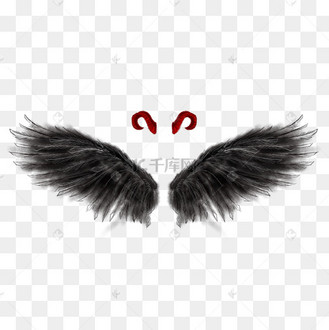 红色恶魔魔鬼角黑色恶魔魔鬼羽毛翅膀