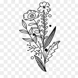 花卉花朵黑白风格线条画
