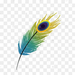 羽毛孔雀