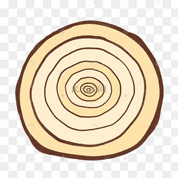 手绘树木年轮横切面