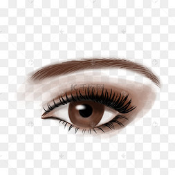 双眼皮眼睛手绘卡通眼睛惊讶的表情免抠图眉毛剪贴画漂亮的女人的脸二