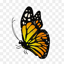 橙色卡通昆虫帝王蝶剪贴画