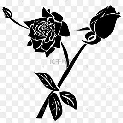 玫瑰花黑白头像图片