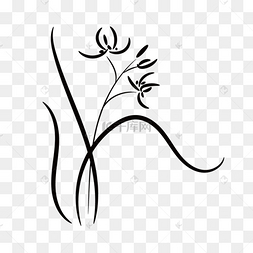 花卉剪影兰花