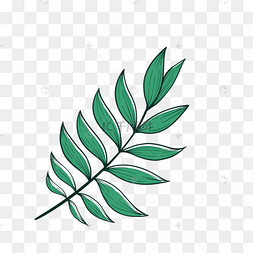棕榈叶剪贴画绿色卡通风格