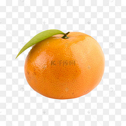 橘子柑橘肉色果汁
