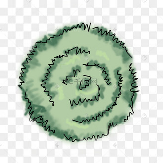 手绘抽象树顶俯视角度植物简笔画