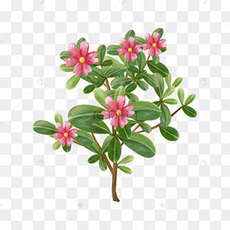 png下载psd手绘插画植物红花下载 png下载psd绿色花卉藤曼小清新手绘