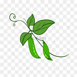 一小串豌豆剪贴画
