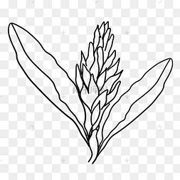 图标稻穗