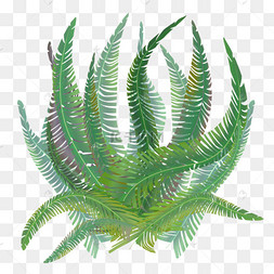 卡通蕨剪贴画多片叶蕨剪贴画春秋一簇野外植物蕨剪贴画绿色蕨菜蕨类