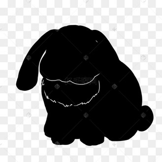 兔子坐图片_兔子坐设计图片素材大全-千库网