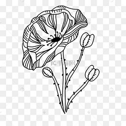 一朵大花黑白画风线条画花卉