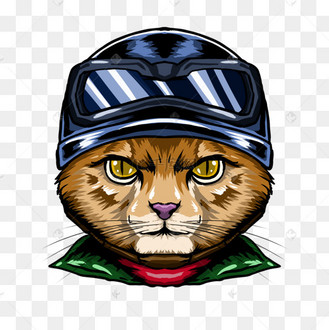 戴头盔的漫画风格猫咪