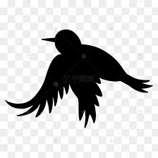 飞鸟剪影黑色