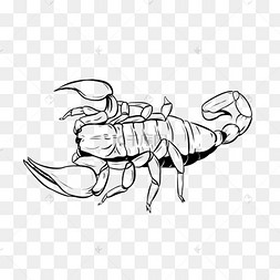 白蝎子剪贴画