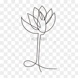 简单线条花抽象线条画花卉