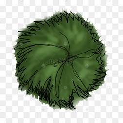 深绿色手绘树顶俯视角度植物简笔