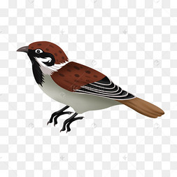 可爱的麻雀图片 可爱的麻雀图片素材免费下载 千库网