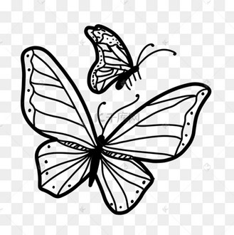 两只飞翔的线稿蝴蝶